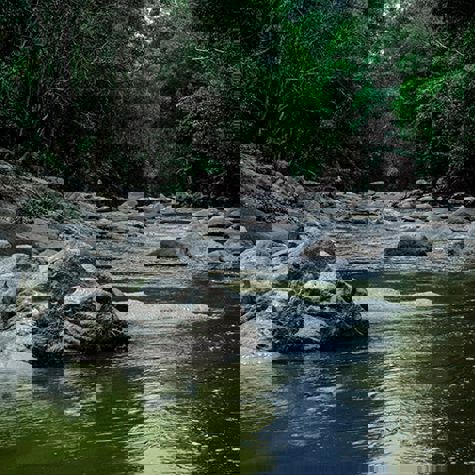 Stocksnap 9Genar5csp